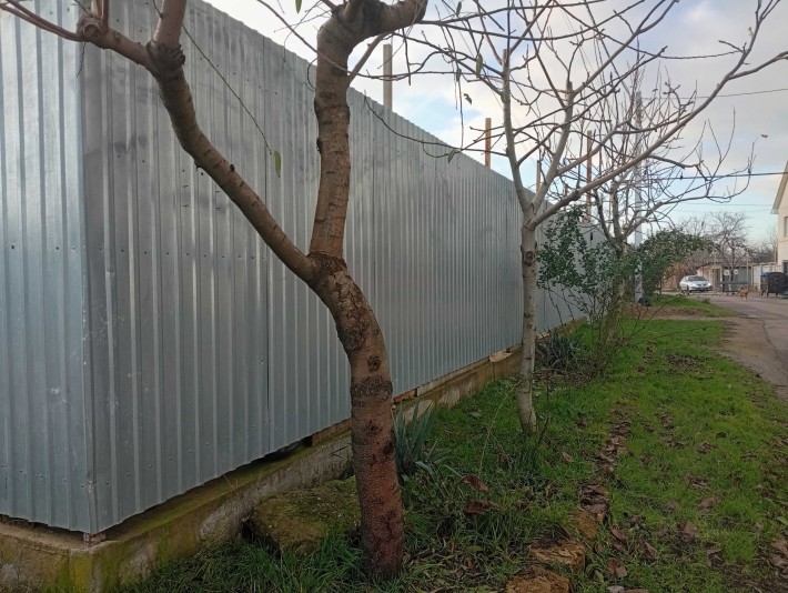 Участок з 2-ма забудовами, від хазяїна. - фото 1