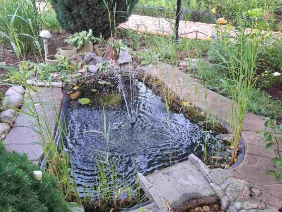 Продам Срочно Дом в Светлом с газом Светлое