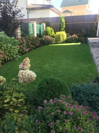 Будинок у Совіньйоні - фото 1