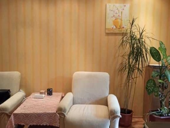 Продам будинок в Новій Дофінівці Новая Дофиновка