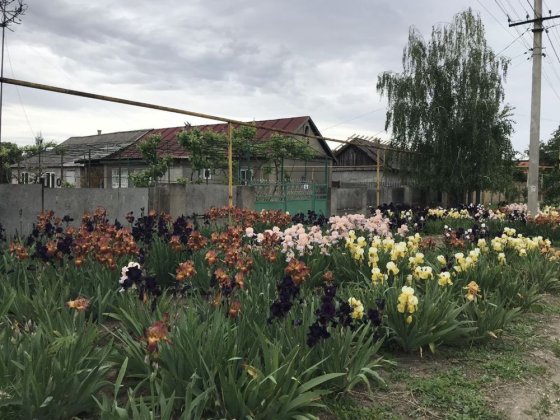 Продам будинок у близькості до центра міста, 24 сотки, газ/вода/світло Беляевка