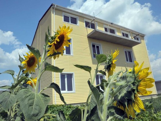 Новая Дофиновка, добротный дом в продаже Новая Дофиновка