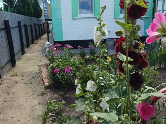 Продам будинок в центрі міста Котельва