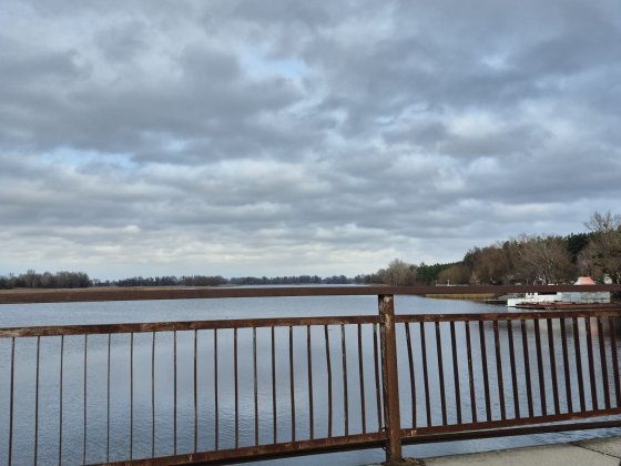 Продається дача в кооперативів Вільшанка Лозивок