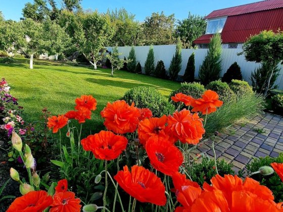 Продам дачу в живописном месте Канівське