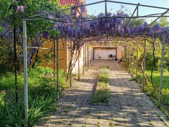 Продаж будинку з господарськими спорудами Нижня Хортиця