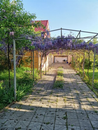 Продаж будинку з господарськими спорудами - фото 1