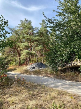 Продам Дом смт. Куриловка - фото 1