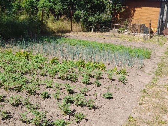 Продається дача(дерев'яний буд.30кв.м.)та 4сот.зем.в Іван.-Фр.13500дол Ивано-Франковск