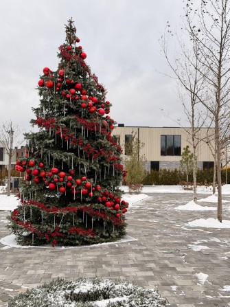 ТаунХаус м. Ірпінь  100 м²  3 кімнати. Ділянка 2 сотки! - фото 1