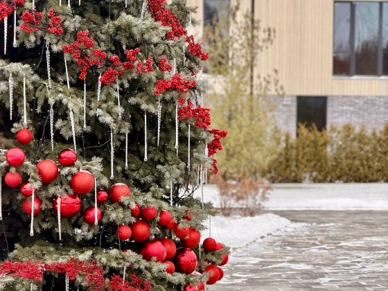 Приватний Будинок + 8 соток! м.Ірпінь ОКРАСА Ірпінь