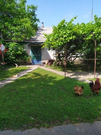 Продам дом село Пришиб - фото 1