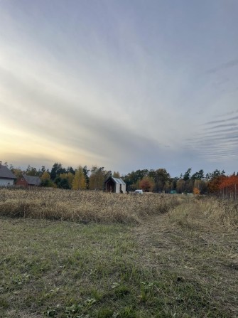 Ділянка серед лісу з будиночком. Торг - фото 1