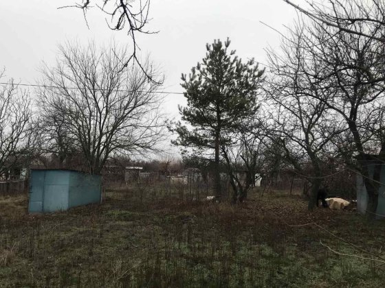 Участок на Раковке Металург 9 соток Кременчук