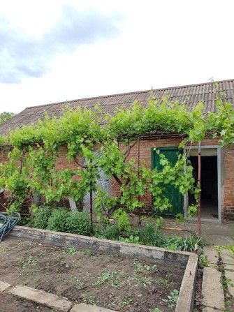 Продам дом в Саксаганском районе - фото 1