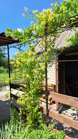 Продам дачу. СТ "Прогрес", Тернівський район - фото 1