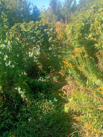 Продам дом  частный - фото 1