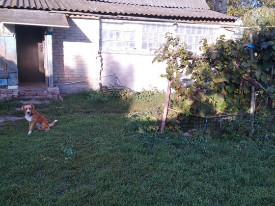 Продається будинок в селі Терешківка, Сумська область Суми