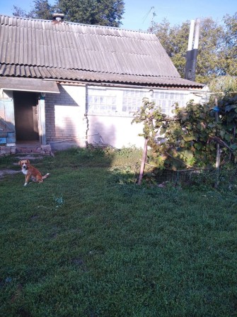 Продається будинок в селі Терешківка, Сумська область - фото 1