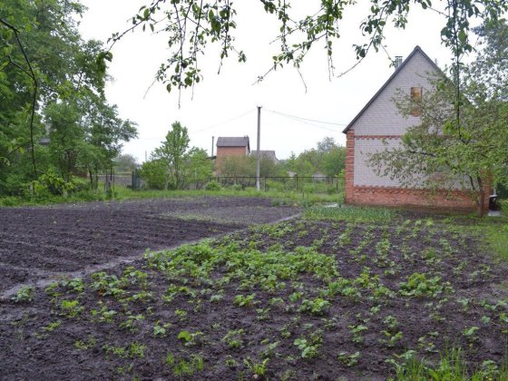 Продам дачу в Сумах (Баранівка, Блактині озера) Суми