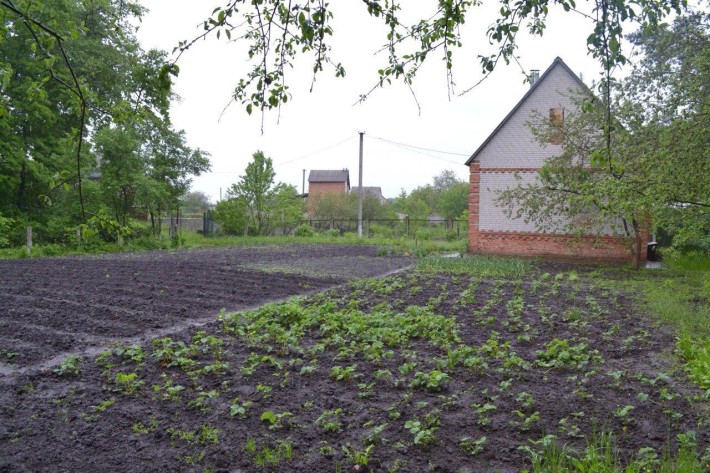 Продам дачу в Сумах (Баранівка, Блактині озера) - фото 1