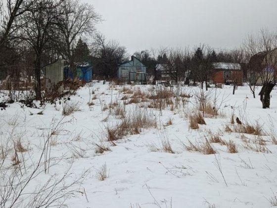 Дача на Білопільському шляху Суми