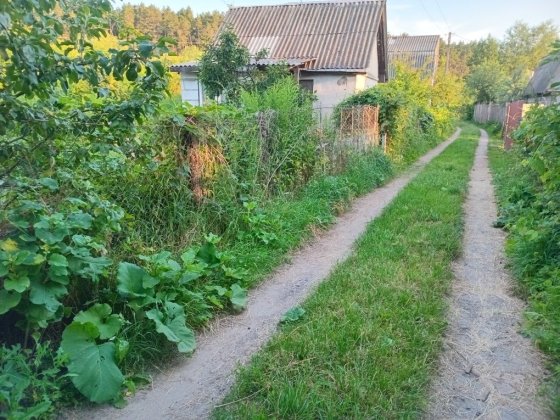 Дача Ст.Подусівка Чернигов