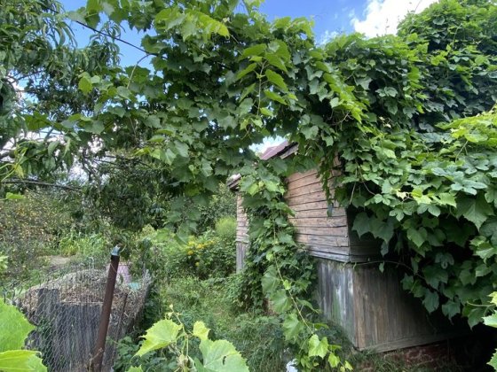 Продам дачу, Стара Подусівка СТ «Зоря» Чернигов