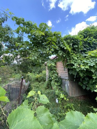 Продам дачу, Стара Подусівка СТ «Зоря» - фото 1