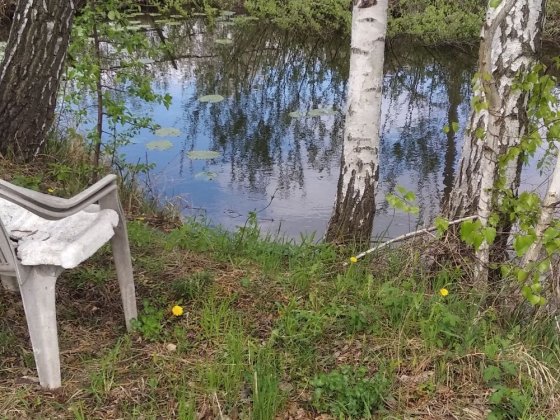 Дача. 6 соток в черте города Чернигов