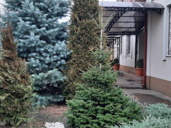 Продам дом на Клочко Левый берег 3 спальни Днепр