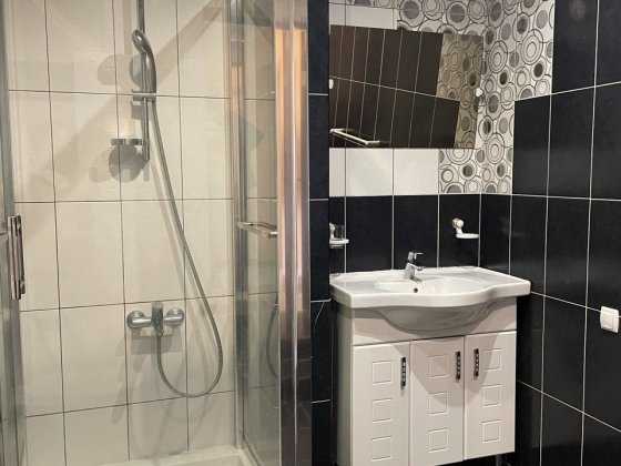 Продам будинок 5 км. от Днепра, с.  Александровка, дом с газом, ремонт Днепр