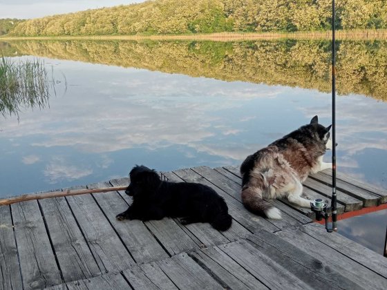 Дом у озера | Новокодакский район | Живи как на курорте Дніпро