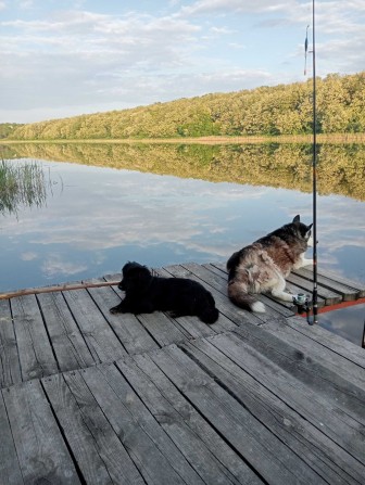 Дом у озера | Новокодакский район | Живи как на курорте - фото 1