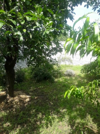 Продам дом. Собственник. - фото 1