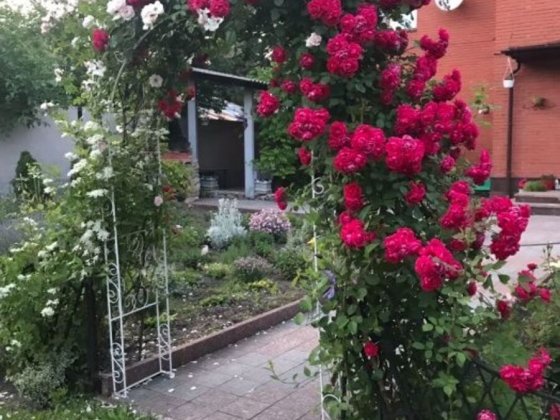 Продам розкішний будинок в центрі міста. Кропивницький