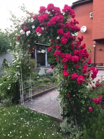 Продам розкішний будинок в центрі міста. - фото 1