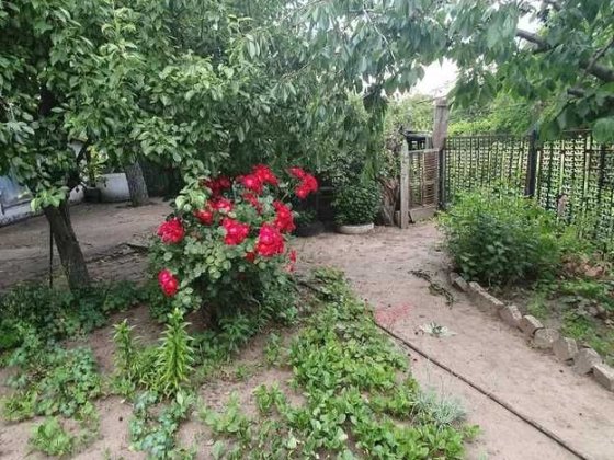 Не дорого дом в Диёвке 57кв.м ПРОДАЖА Дніпро