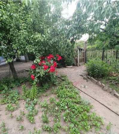 Не дорого дом в Диёвке 57кв.м ПРОДАЖА - фото 1