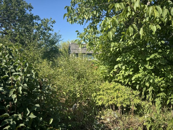 Дача Мрія Темерязево - фото 1