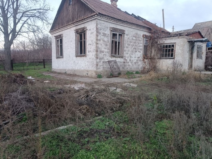 Продам дом Чапли Приднепровск - фото 1