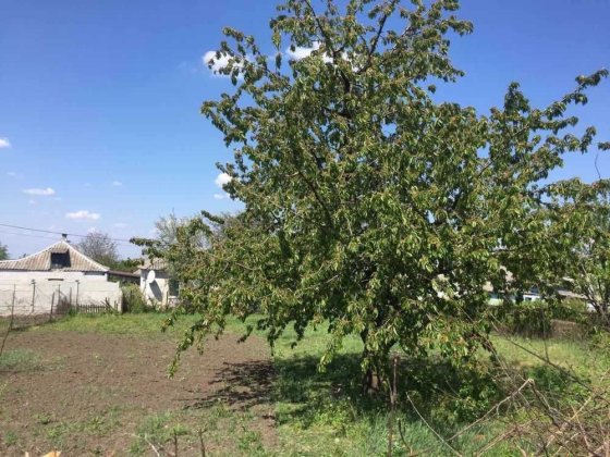 продам дом Диевка-1 ул.Омельницкая Дніпро