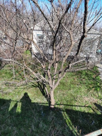 Продам дом у Днепра Таромское - фото 1