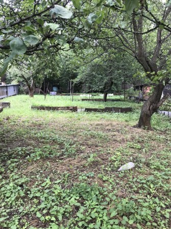 Продам дачу - фото 1