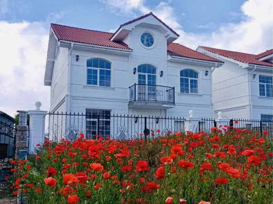 Совиньон.Готовый дом на 8сотках Одеса