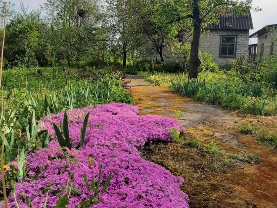 Продам будинок, вулиця Солончакова, район Отечественная, Янтарная, Гри Днепр