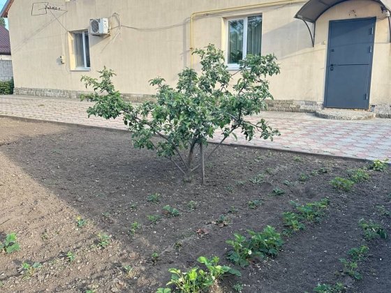 Продам будинок у Придніпровську Днепр