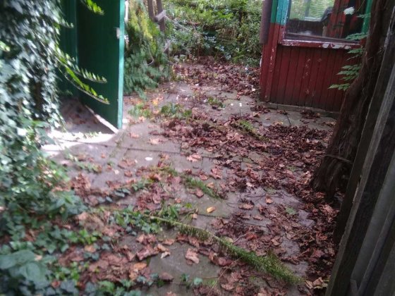 (3-50) Самостоятельный домик на пос. Котовского Одесса