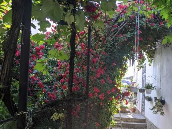 Продам капитальный дом в Суворовском районе Одеса