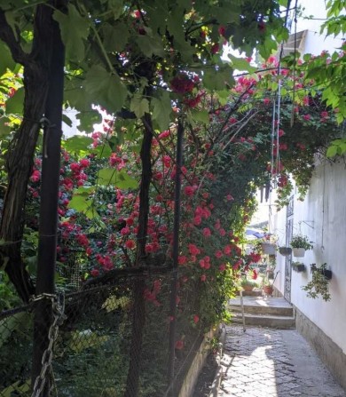 Продам капитальный дом в Суворовском районе - фото 1